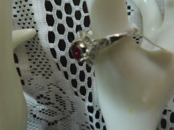 SHA RED RING D